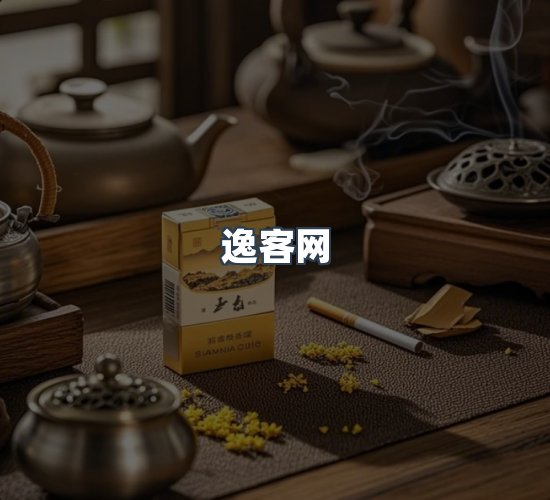关于逸客网